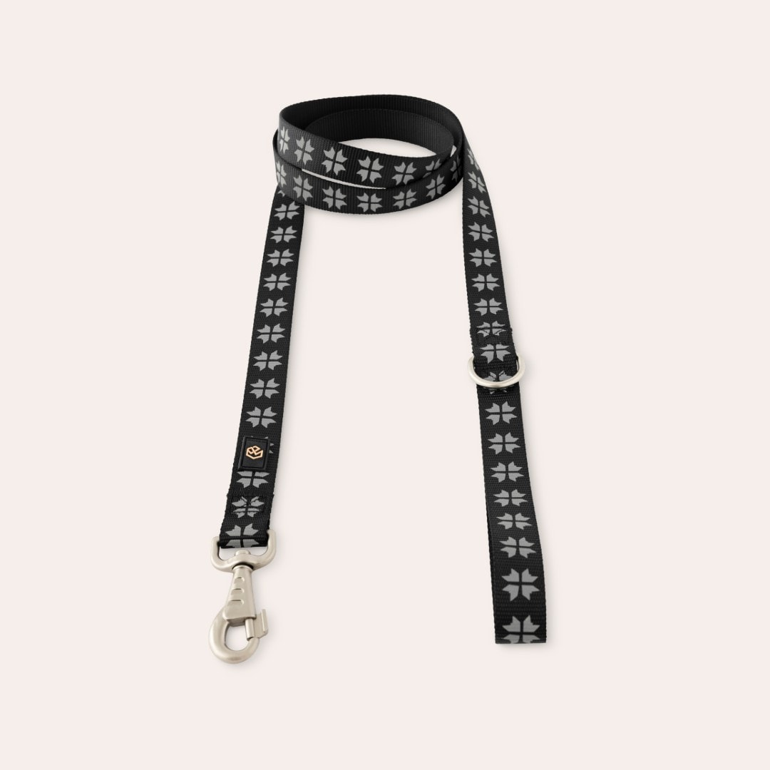 Reflexkoppel Hund Kelso traxx®