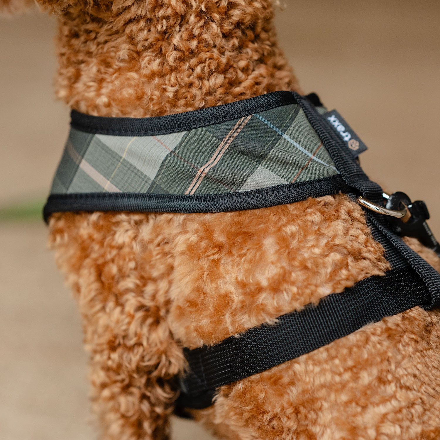 Hundsele Pardis traxx®