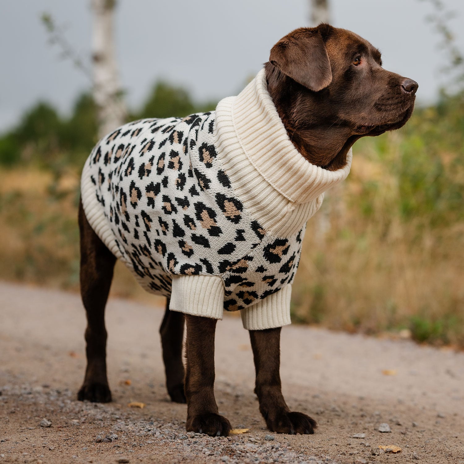 Hundtröja  Leo traxx®