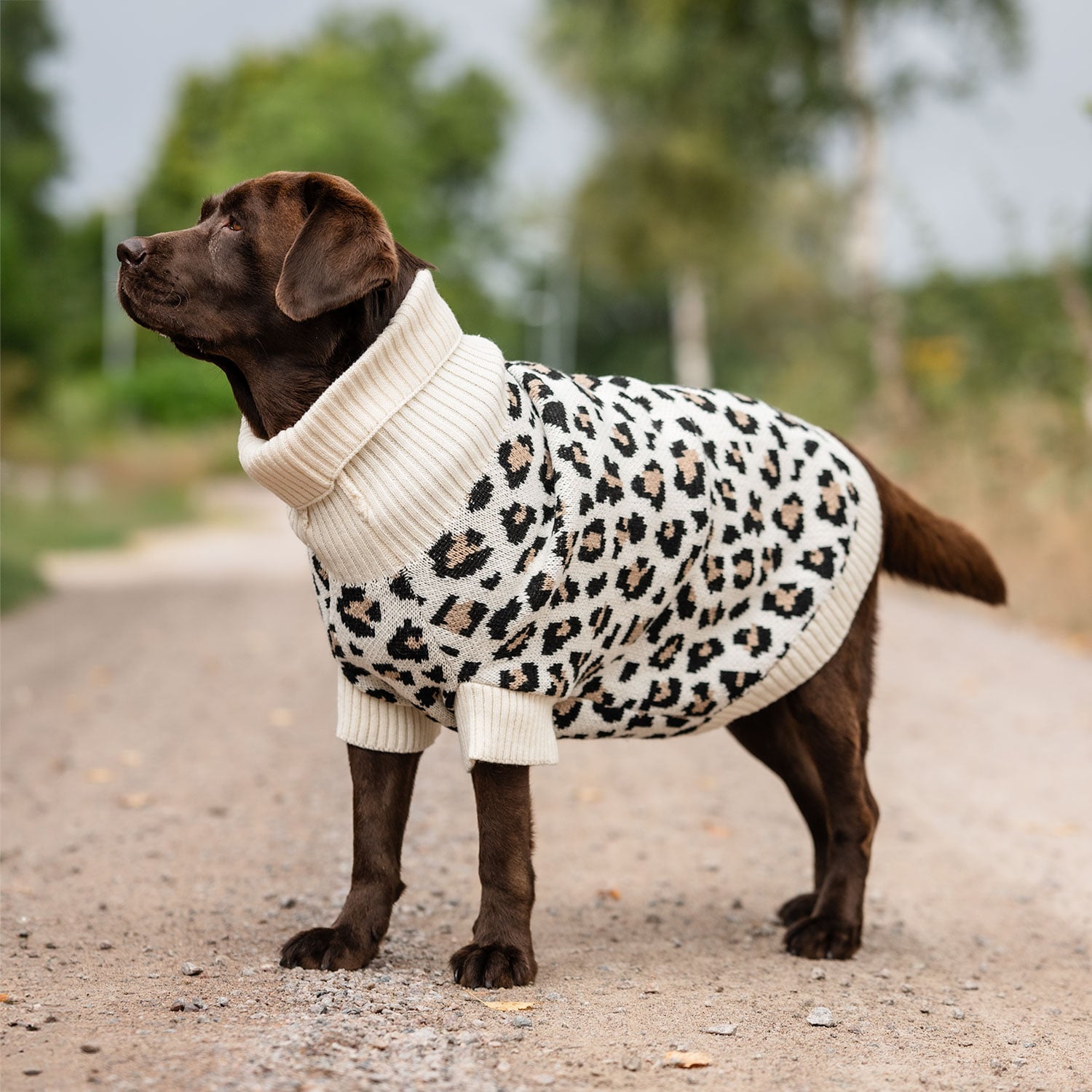 Hundtröja  Leo traxx®