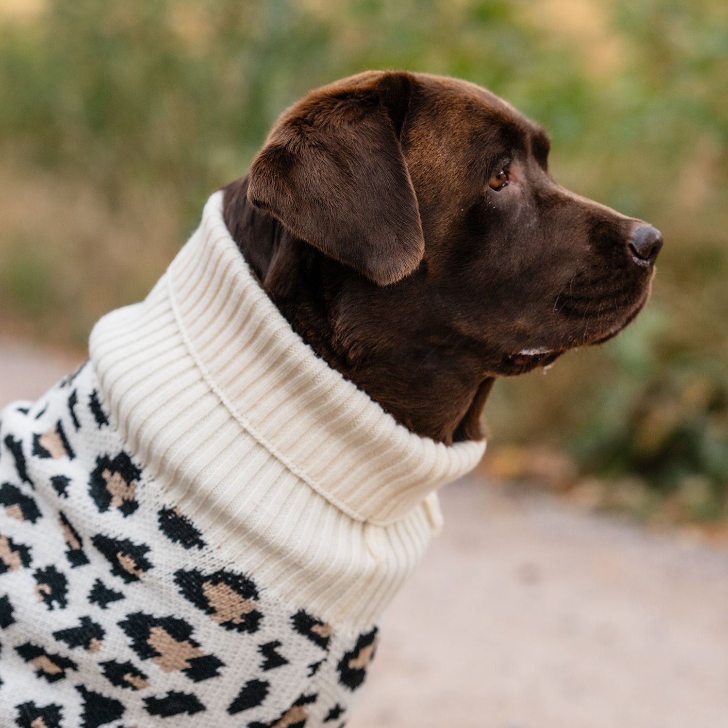 Hundtröja  Leo traxx®
