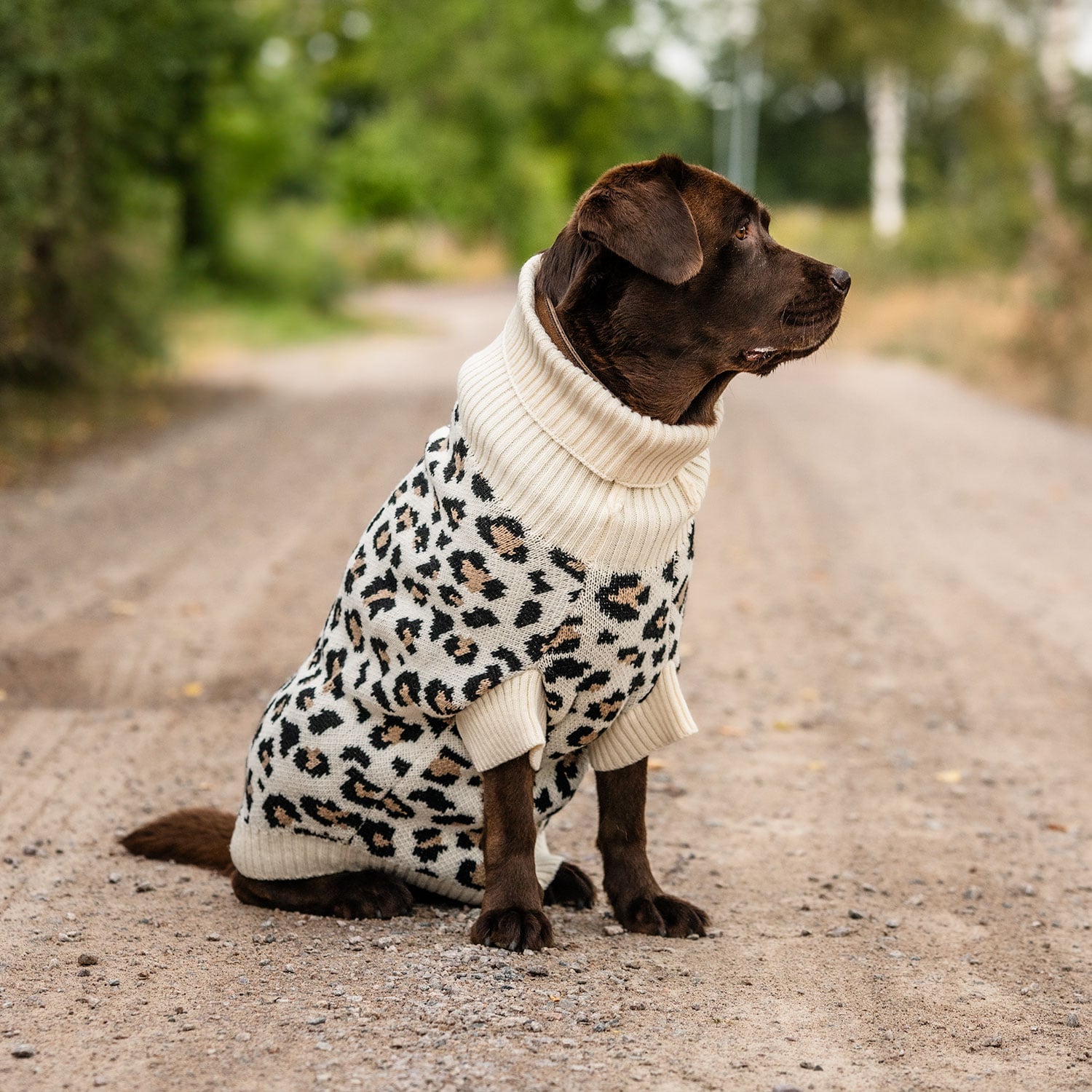 Hundtröja  Leo traxx®
