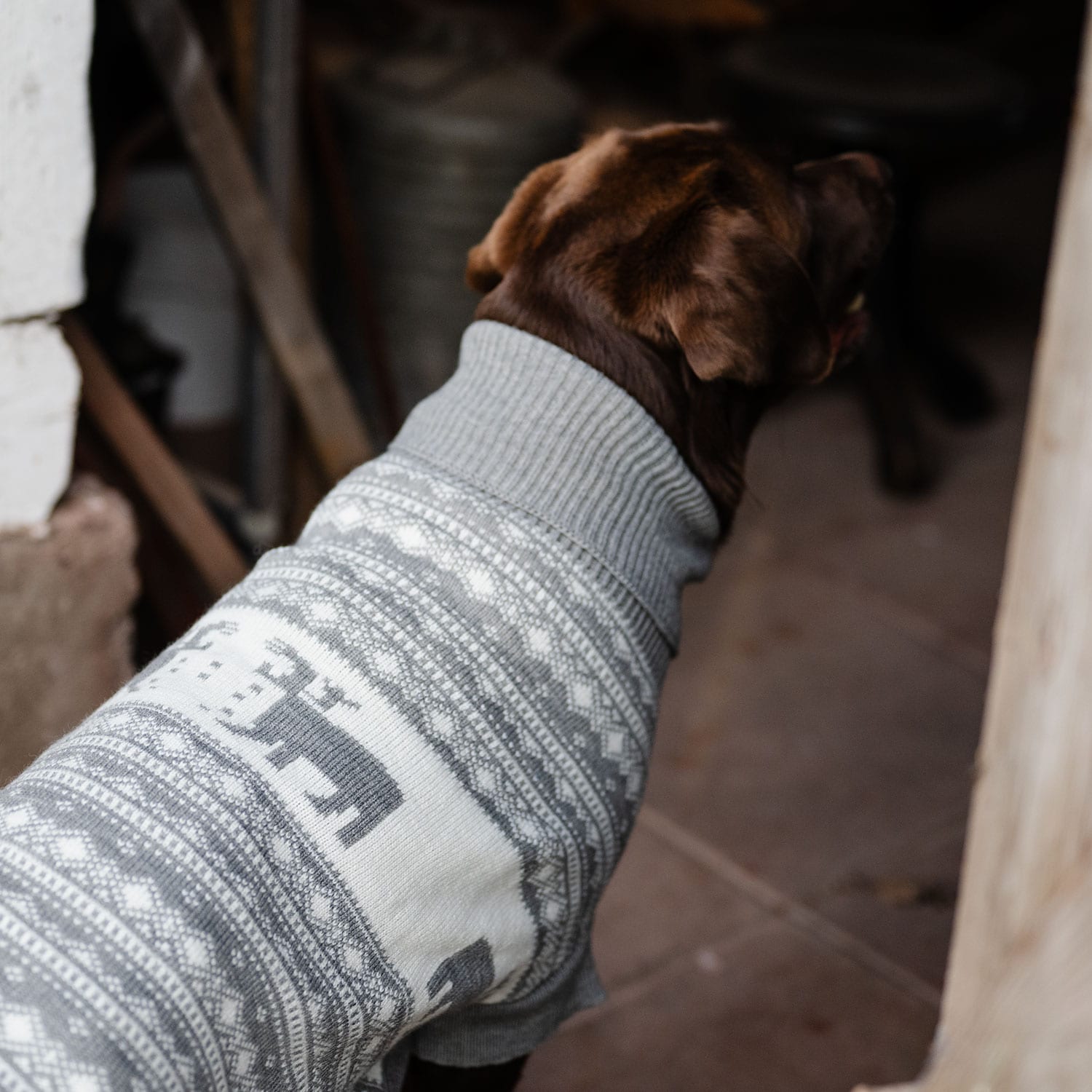 Hundtröja  Deer traxx®