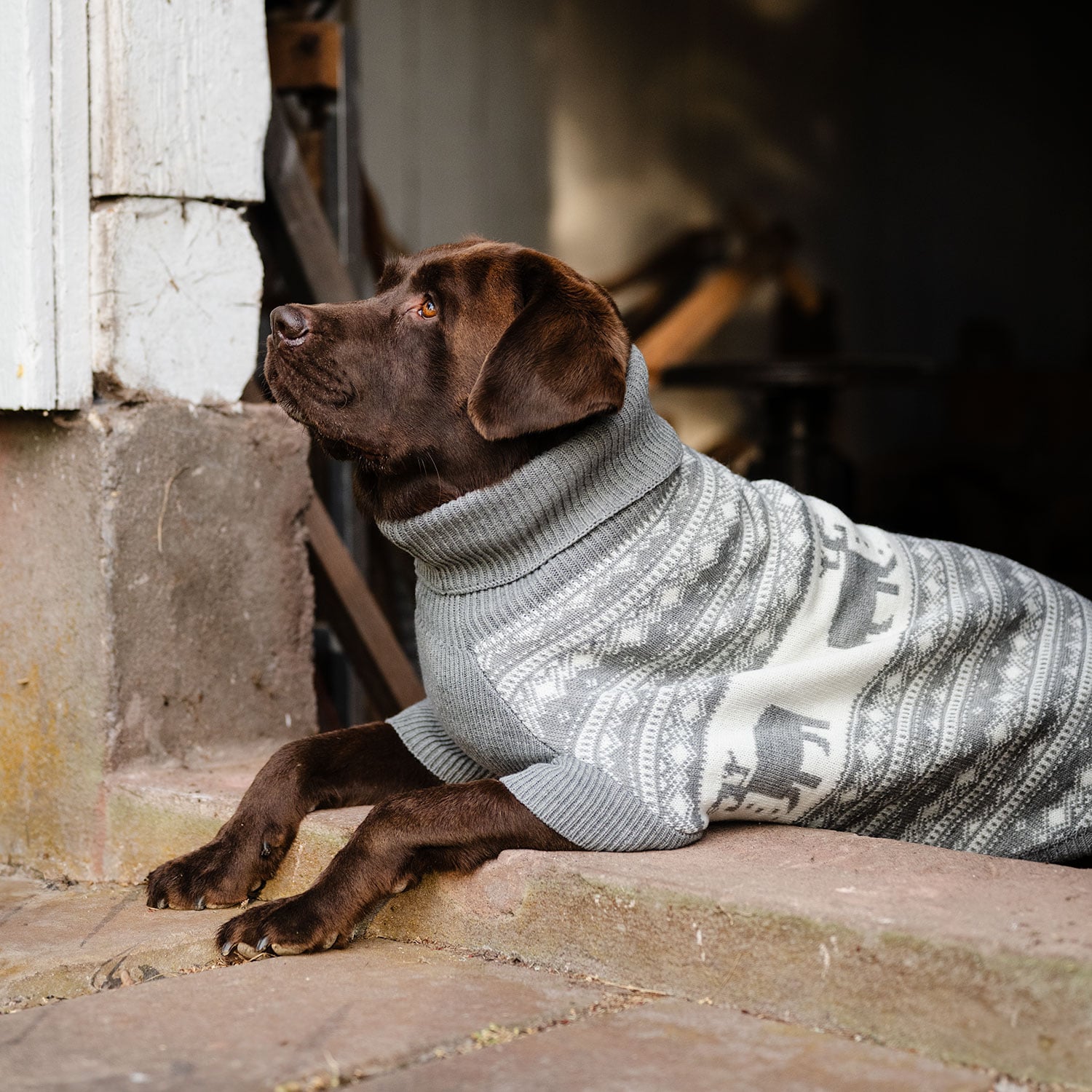 Hundtröja  Deer traxx®