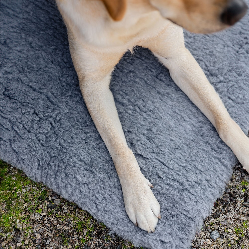 Hundfilt   traxx®