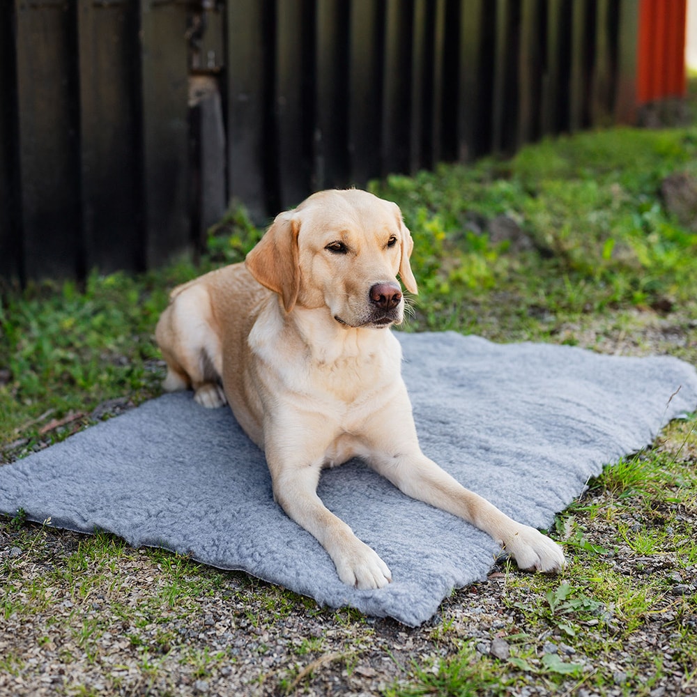 Hundfilt   traxx®