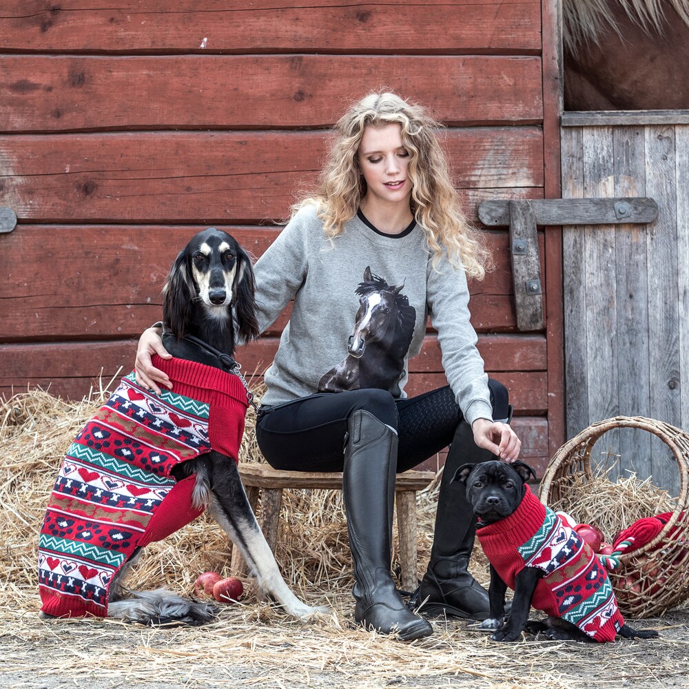 Hundtröja  Albin Showmaster®