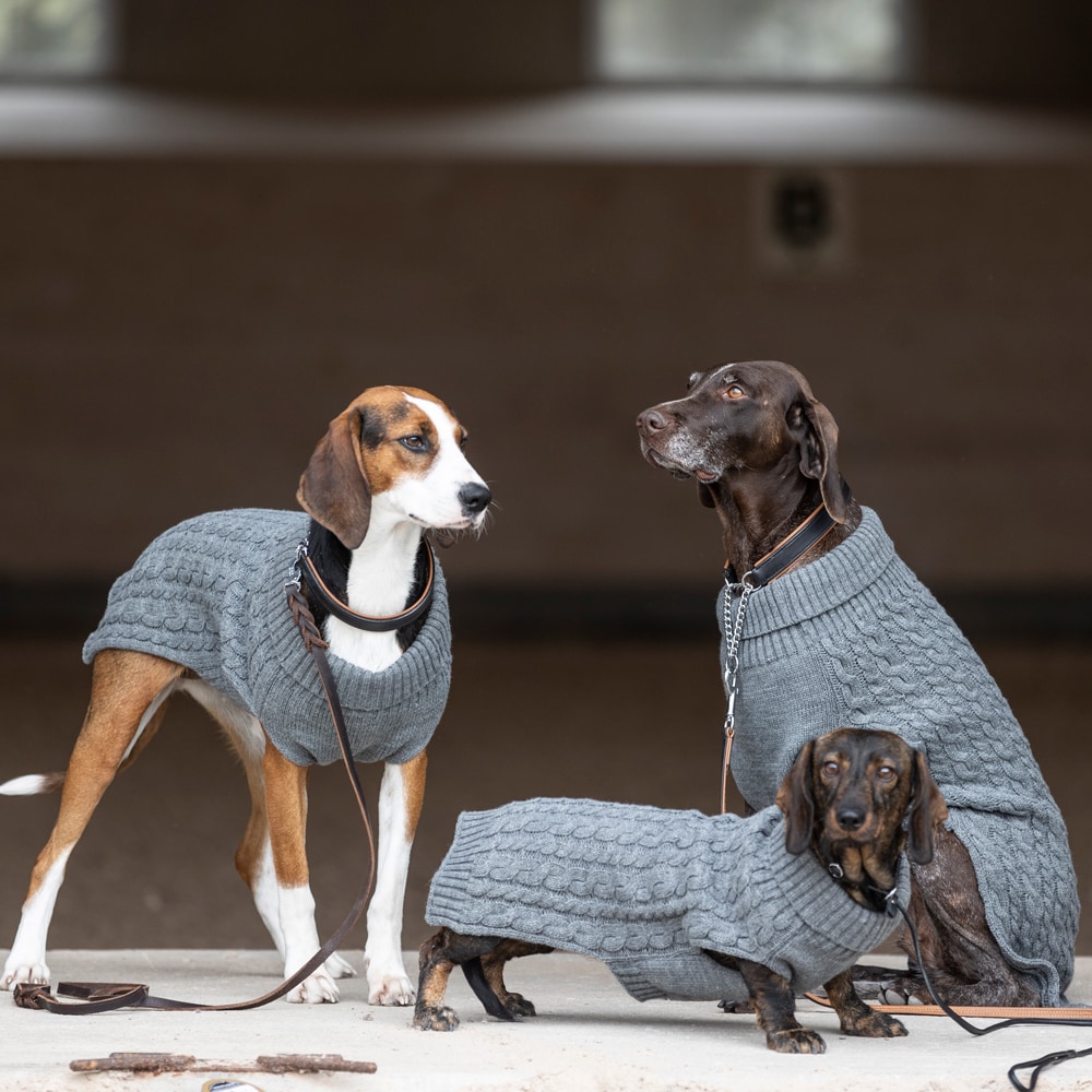 Hundtröja  Robin Showmaster®