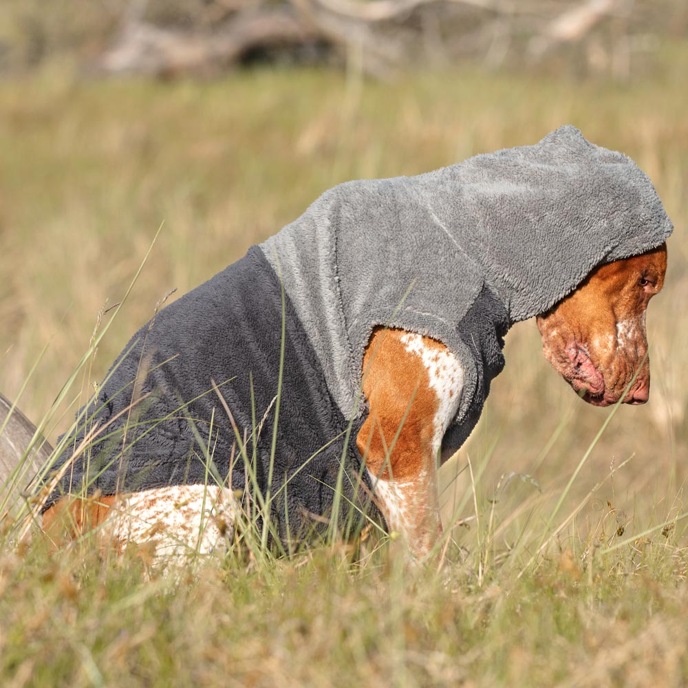 Hundtröja  Balwen traxx®