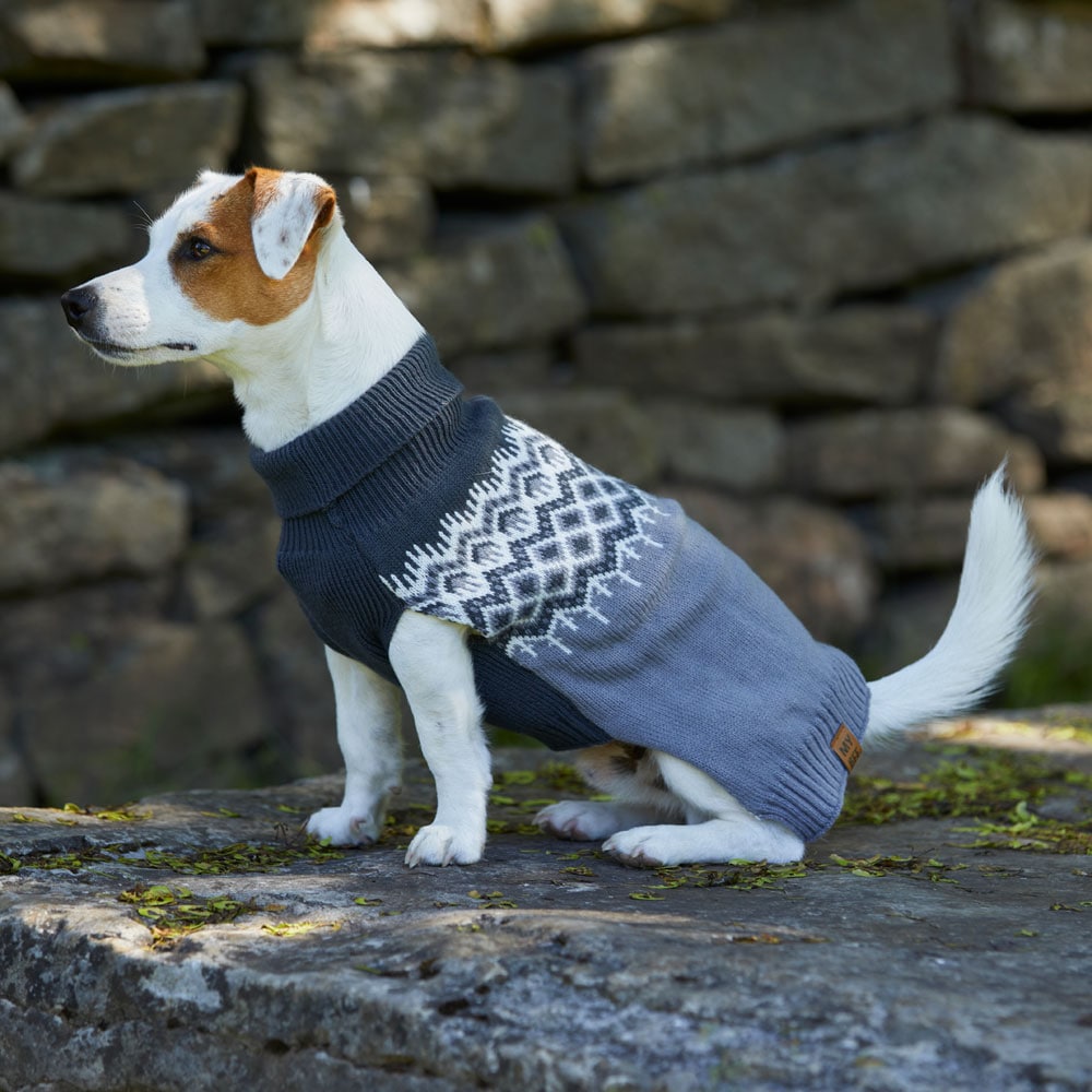 Hundtröja  Bifrost traxx®
