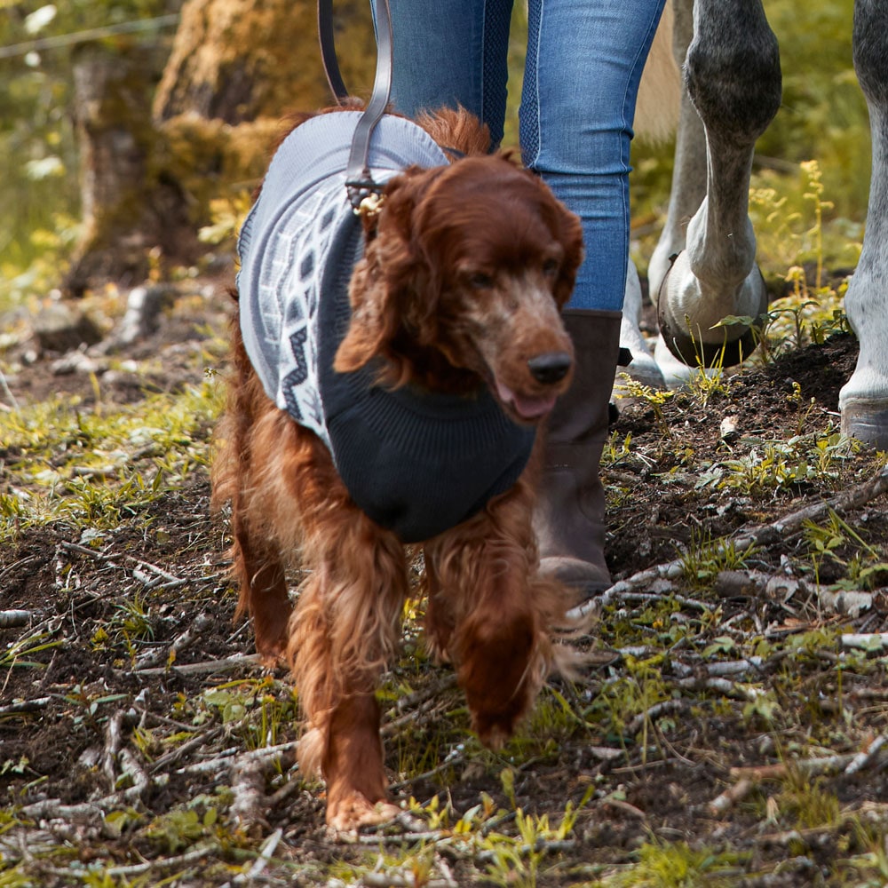 Hundtröja  Bifrost traxx®