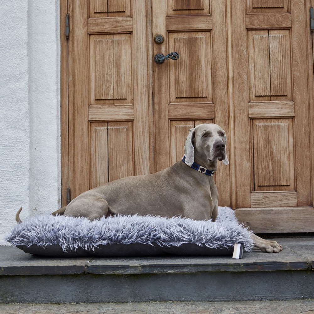 Hundmadrass  Certosa JH Collection®