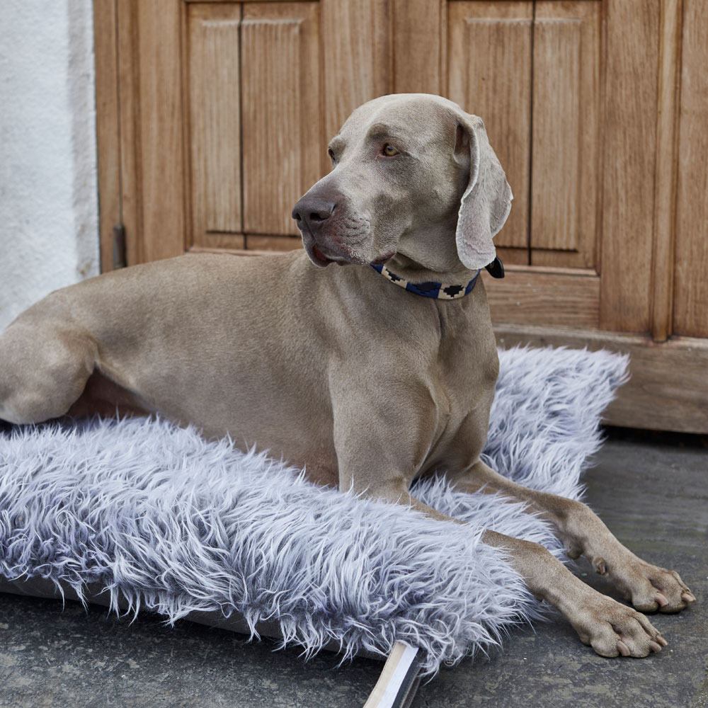 Hundmadrass  Certosa JH Collection®