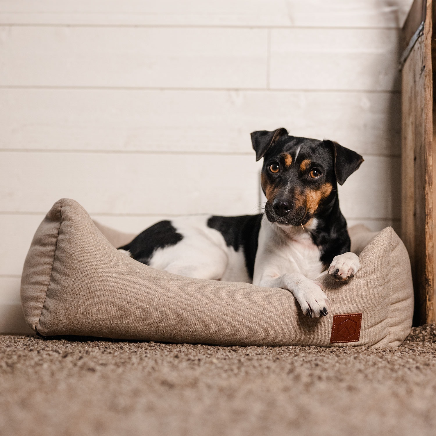Hundbädd Ezana traxx®