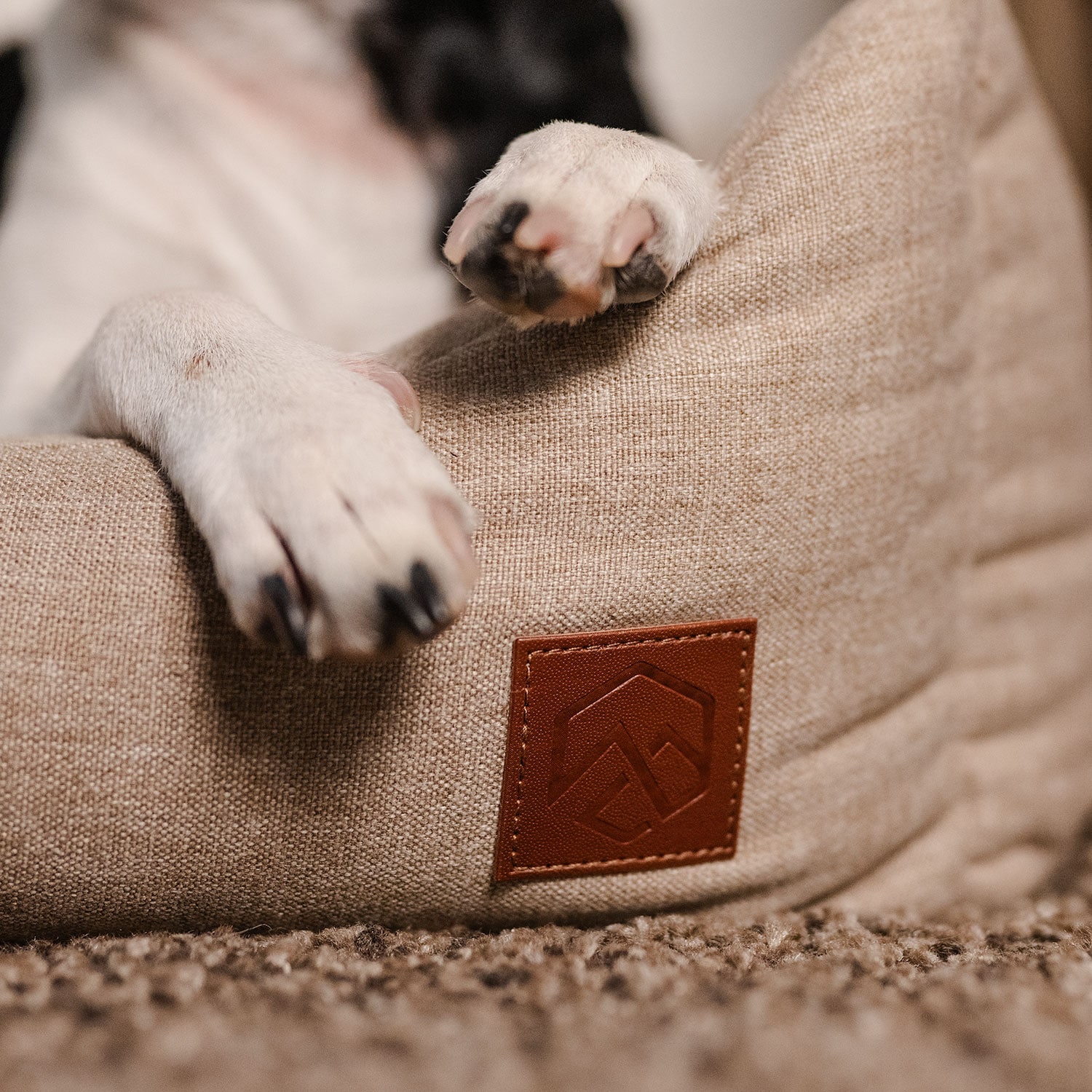 Hundbädd Ezana traxx®