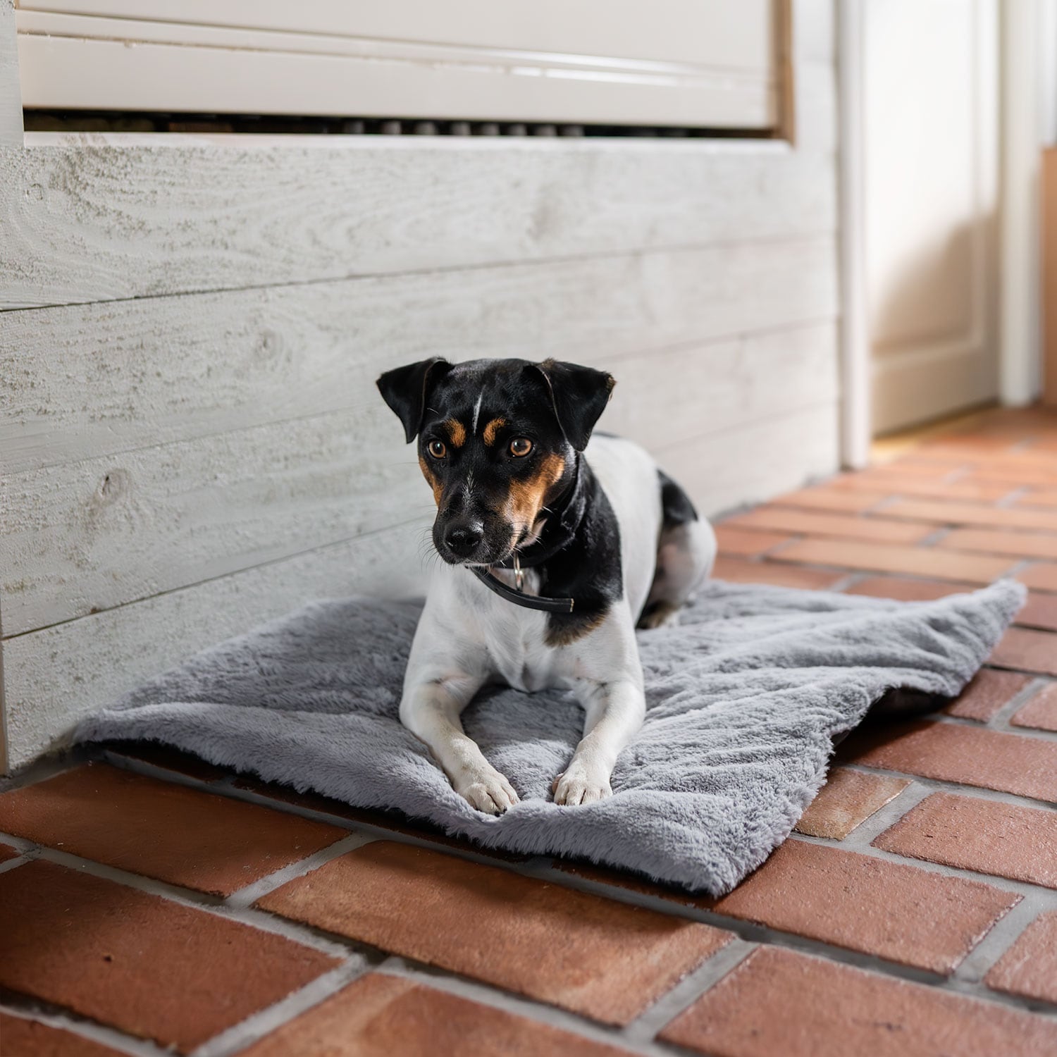 Hundmadrass  Self-Warming traxx®