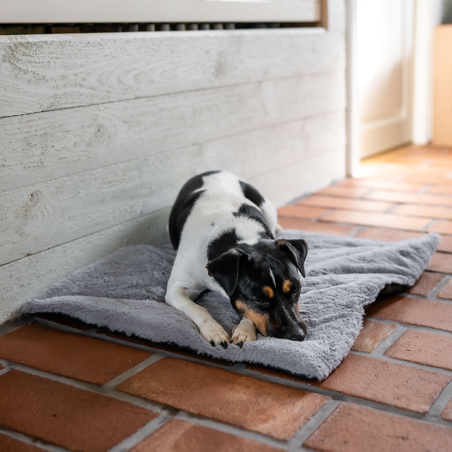 Hundmadrass  Self-Warming traxx®