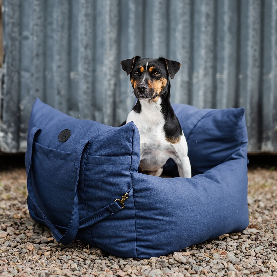 Hundbädd Bed Bag Dog traxx®