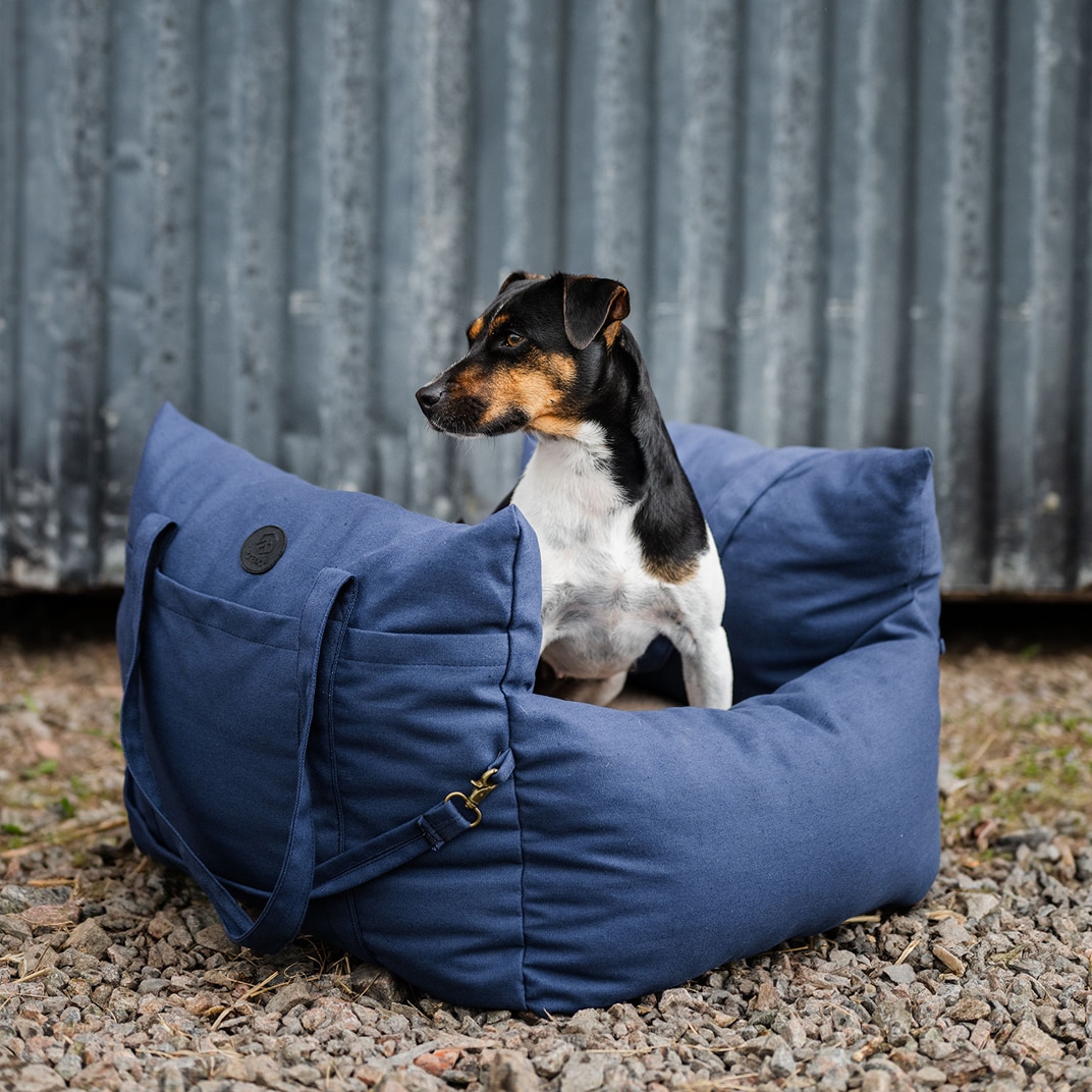 Hundbädd Bed Bag Dog traxx®