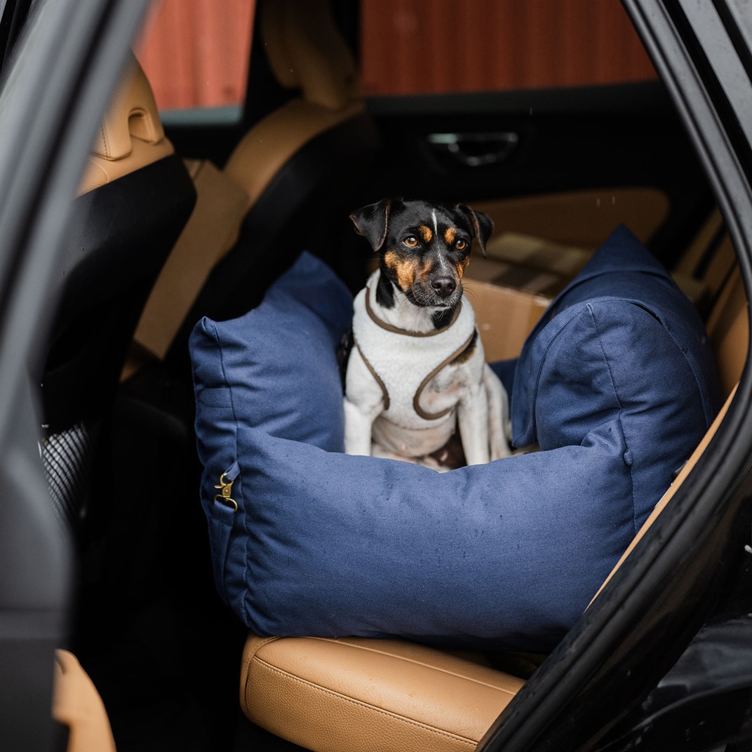 Hundbädd Bed Bag Dog traxx®