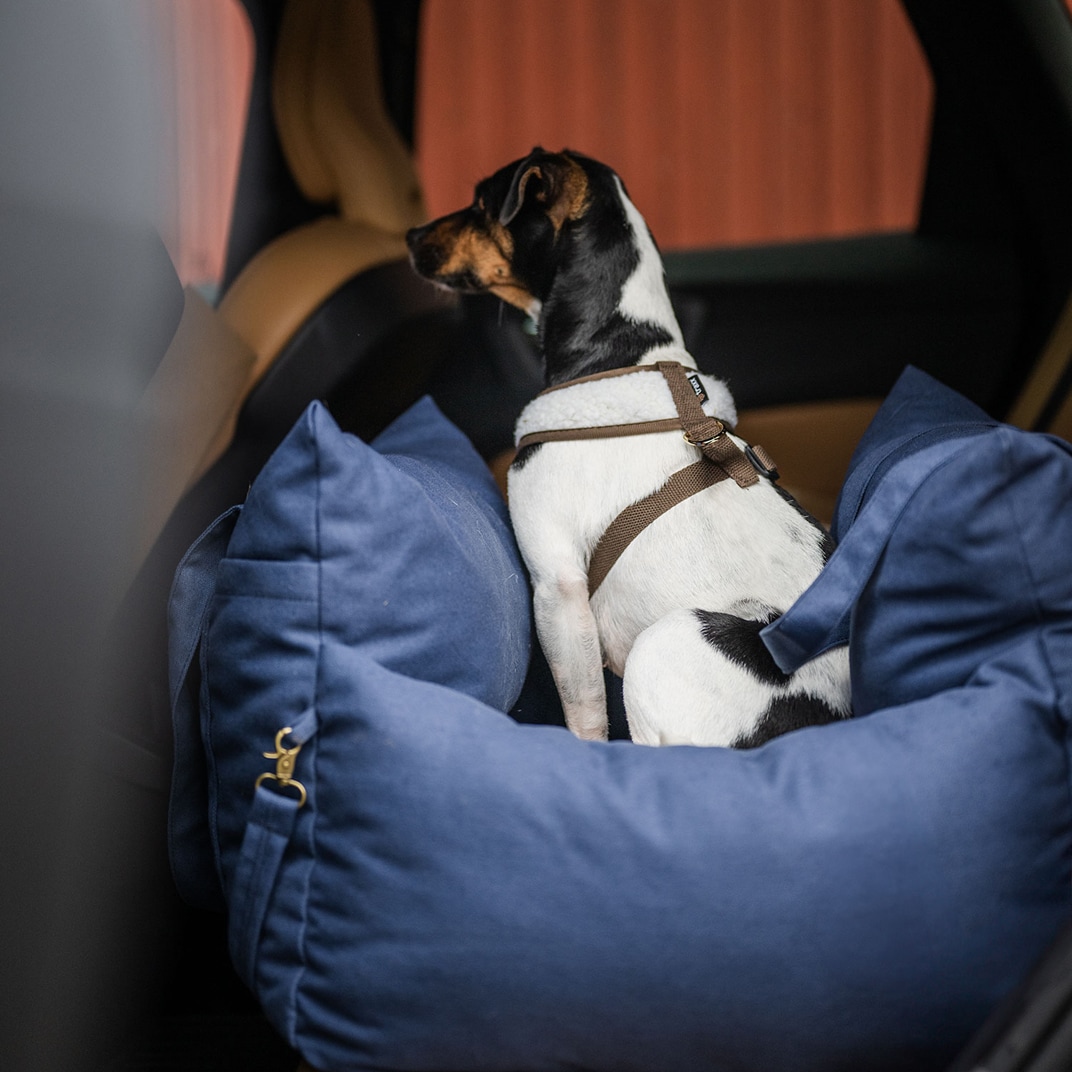 Hundbädd Bed Bag Dog traxx®