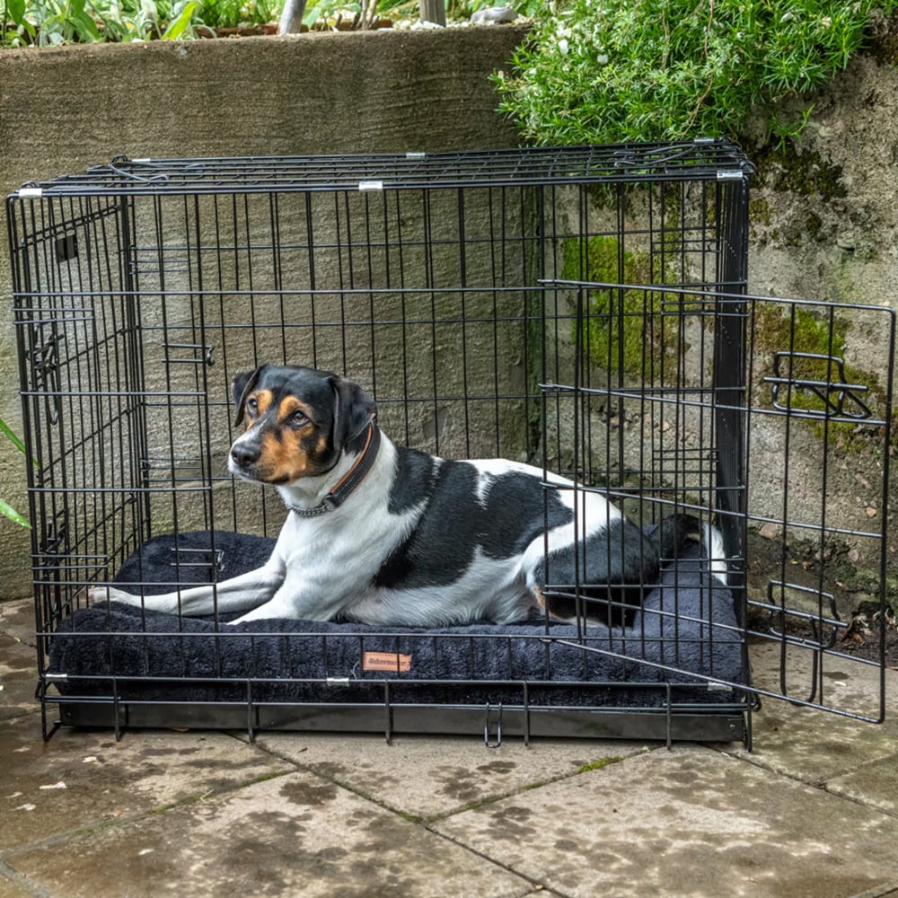 Hundbur  Bosse traxx®
