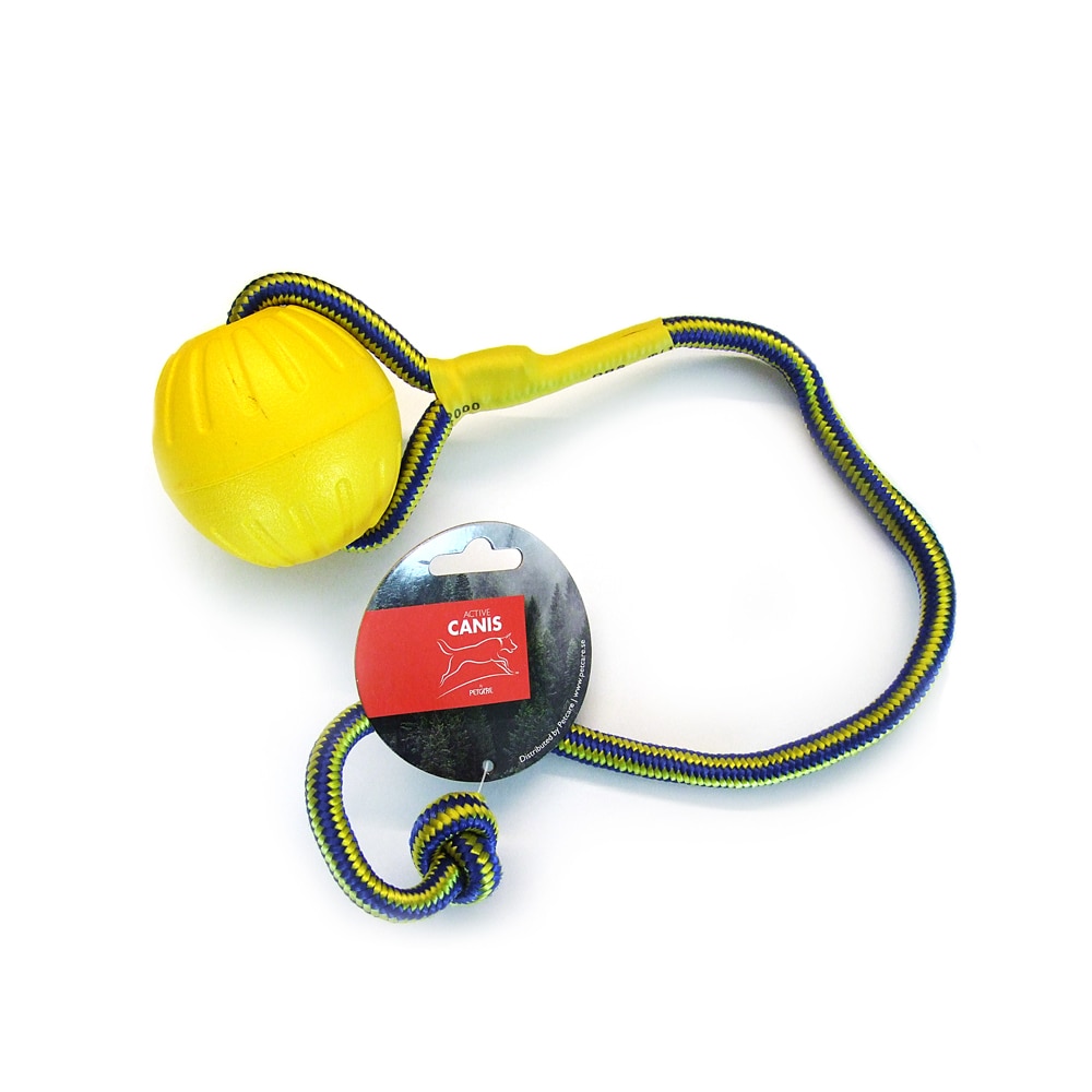Hundleksak  Floating boll Active Canis