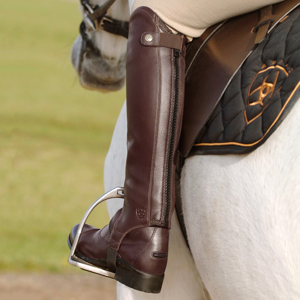 Shortchaps  Concord ARIAT®