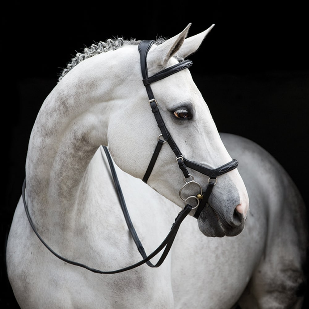 Träns  Micklem® Deluxe Competition Horseware®