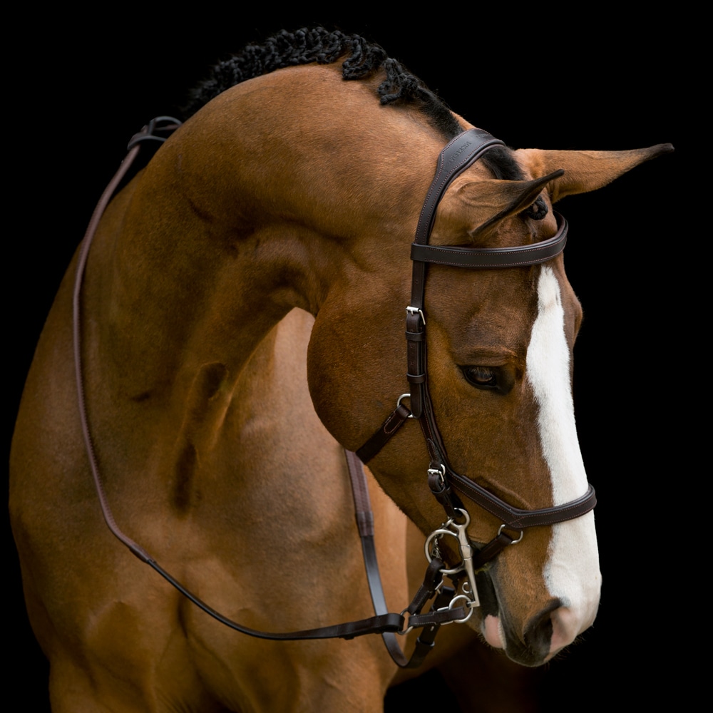 Träns  Micklem Competition Horseware®