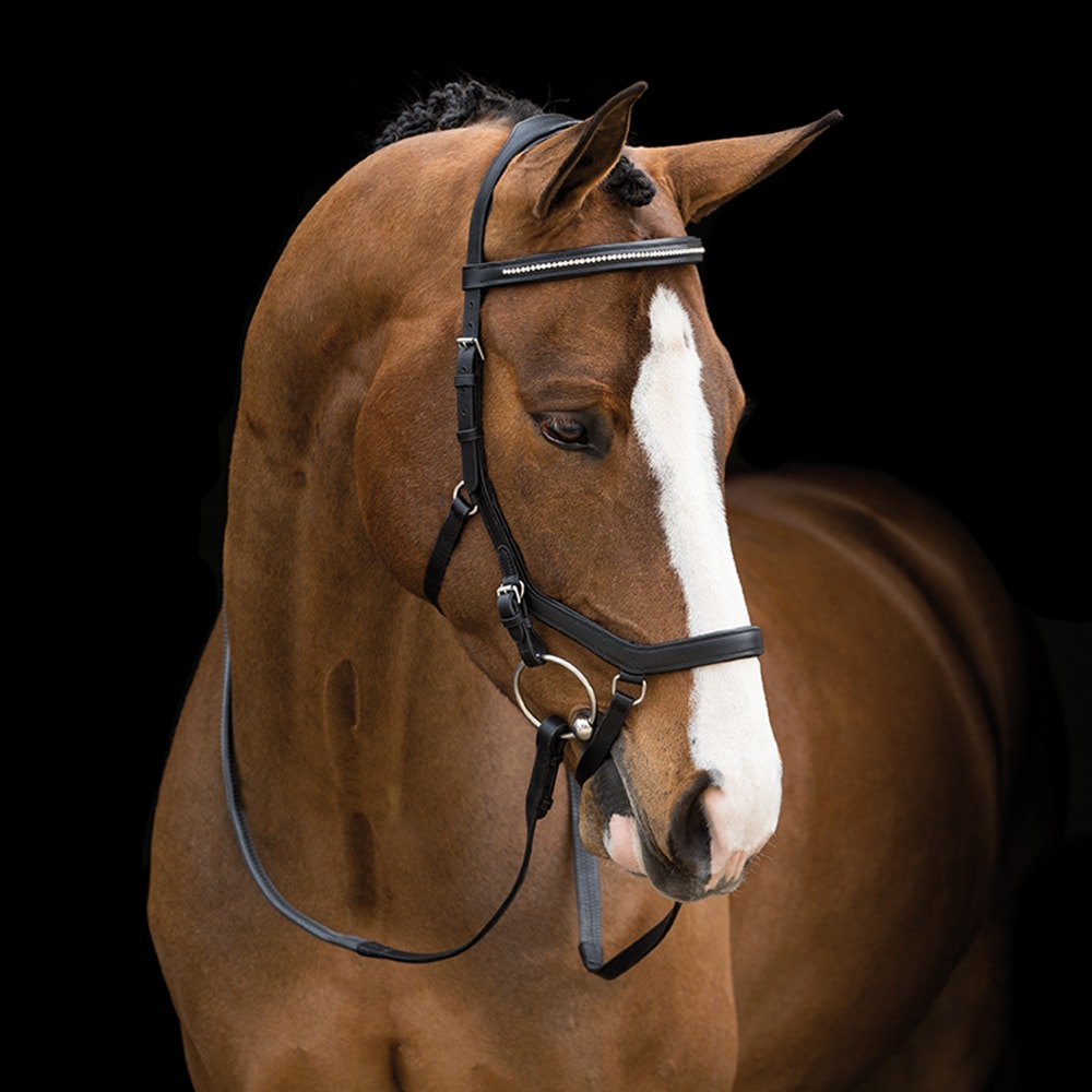 Träns  Micklem® Diamante Competition Horseware®