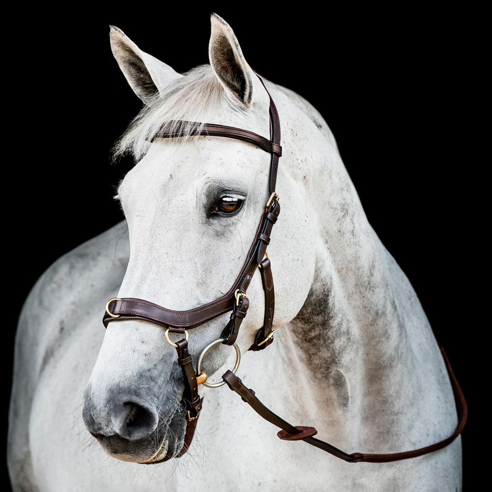 Träns  Micklem Multibridle Horseware®