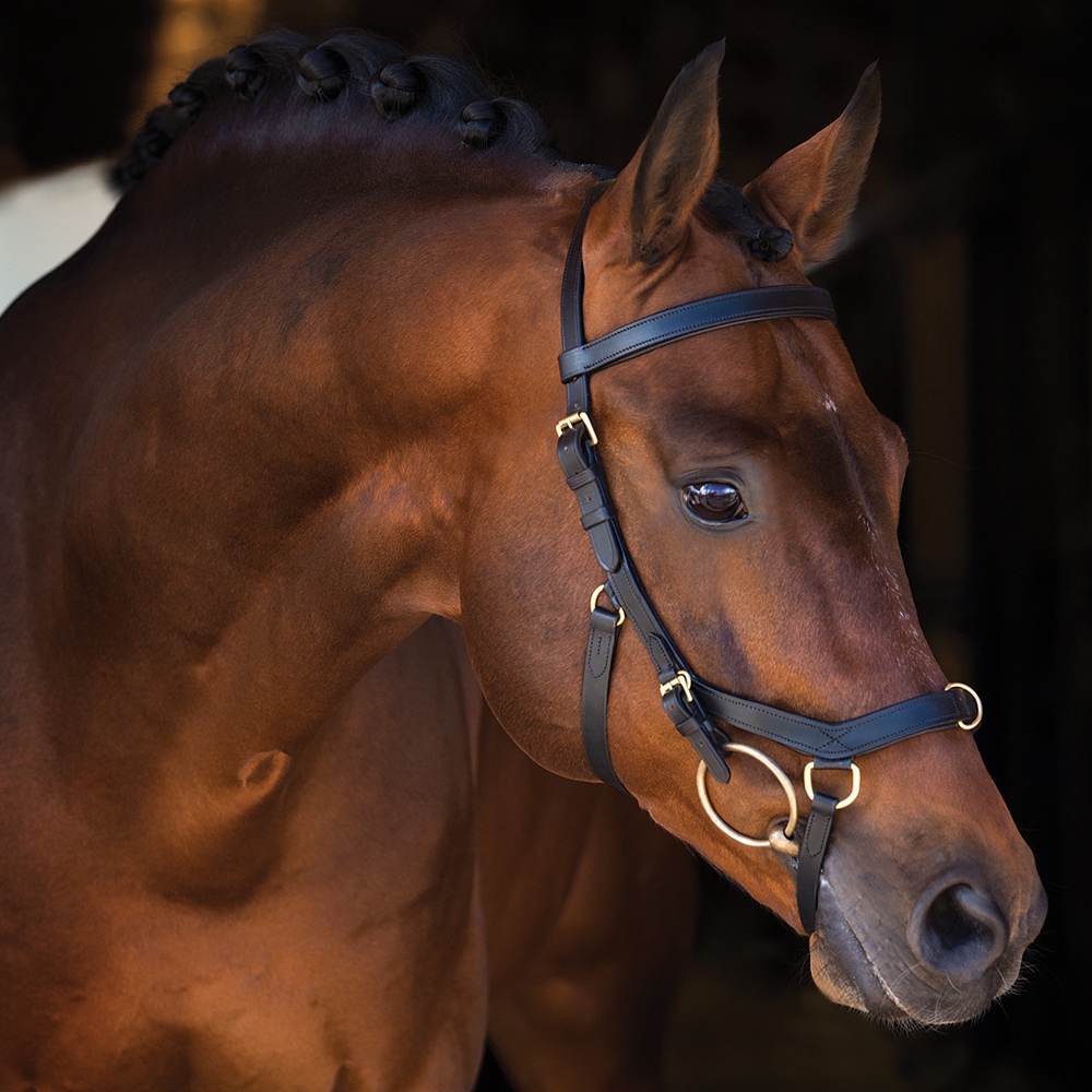 Träns  Micklem Multibridle Horseware®