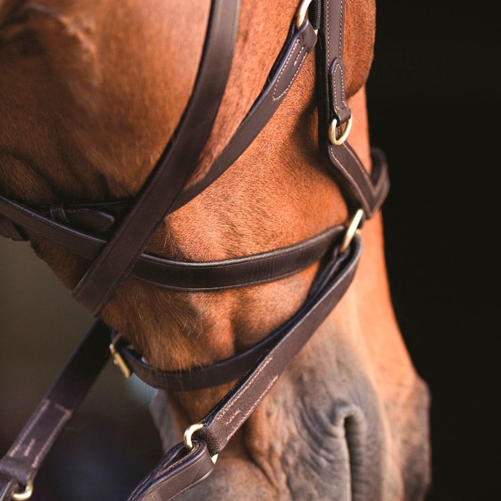 Träns  Micklem Multibridle Horseware®