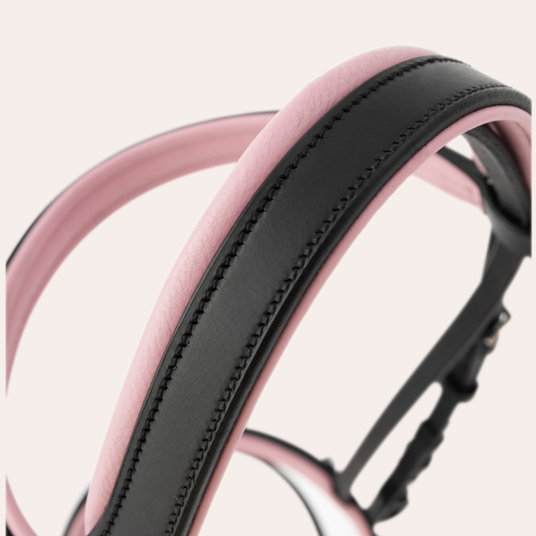 Aachenträns Penny Fairfield®