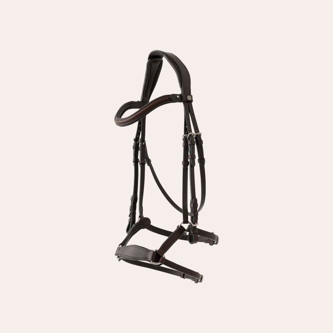 Aachenträns Belmont Fairfield®