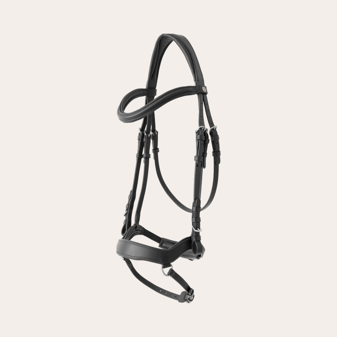 Aachenträns Newmarket Fairfield®