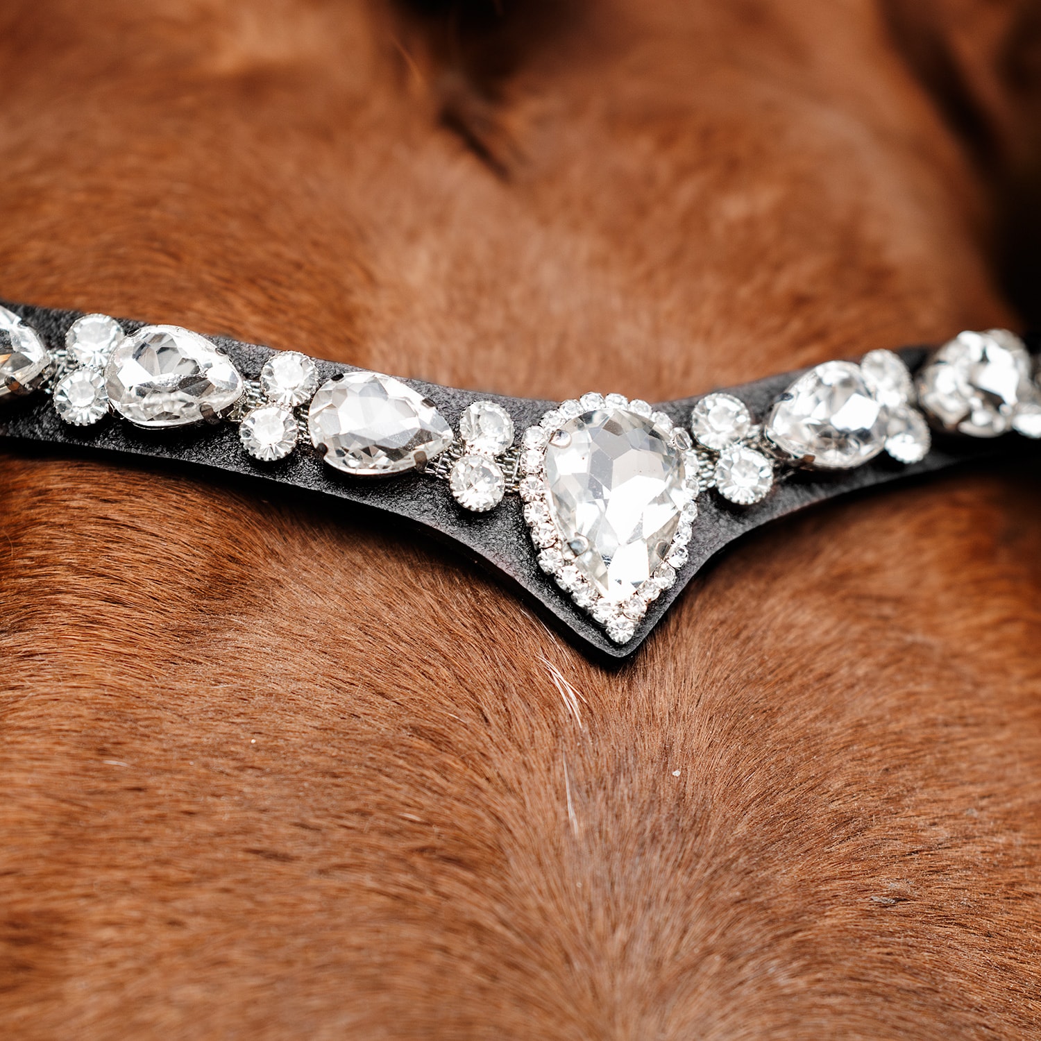 Pannband Celine Fairfield®