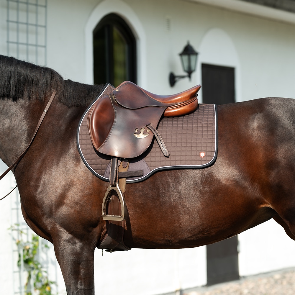 Allroundschabrak  Ocala Fairfield®