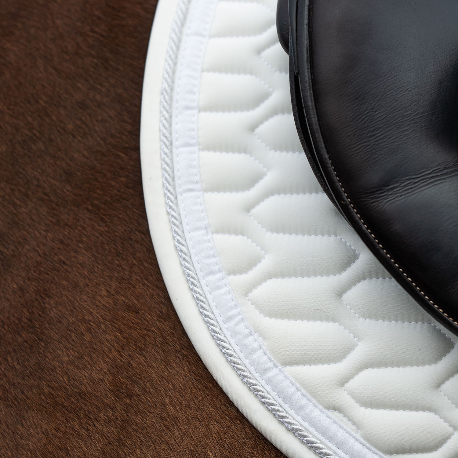 Allroundschabrak  Modesto Fairfield®