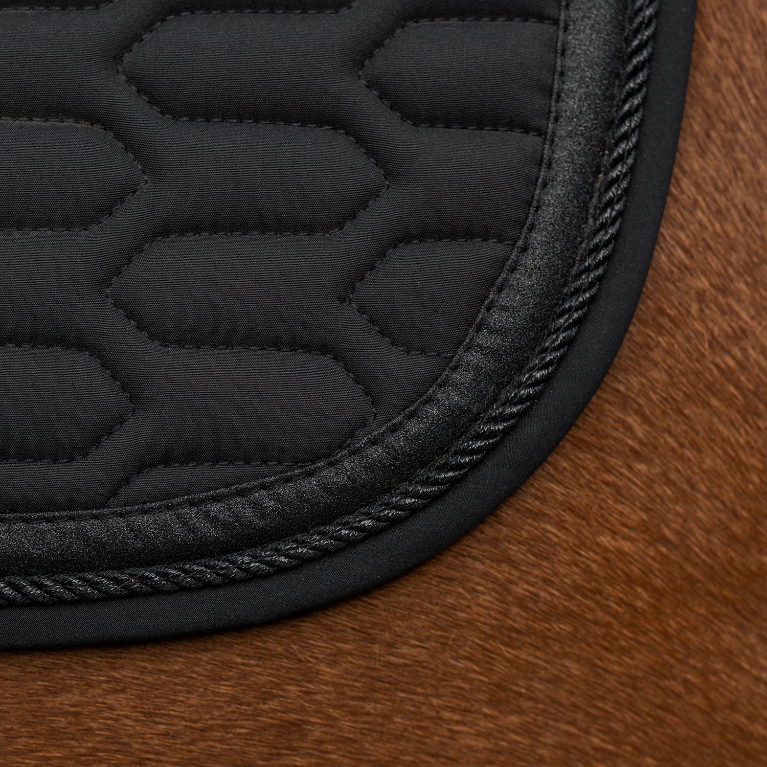 Allroundschabrak  Modesto Fairfield®
