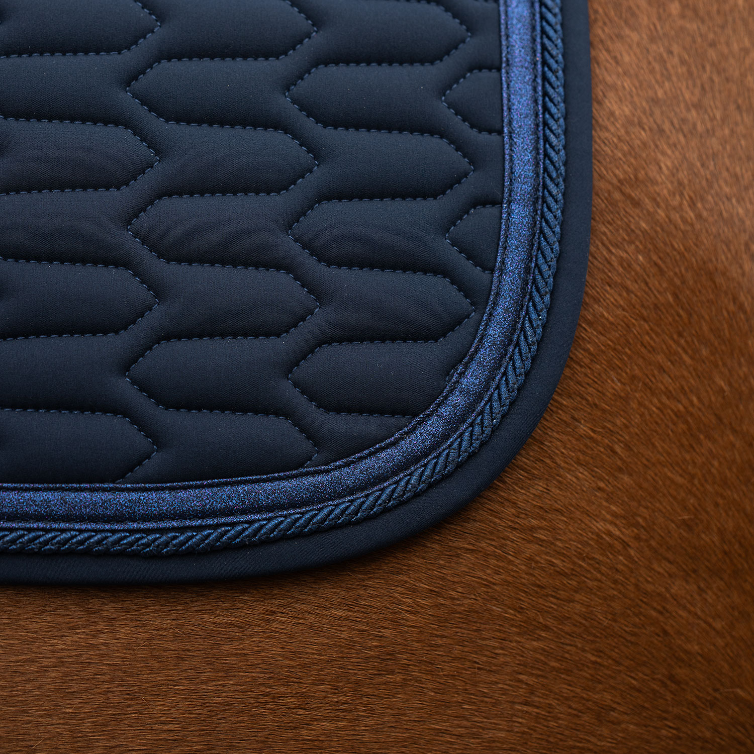 Allroundschabrak  Modesto Fairfield®