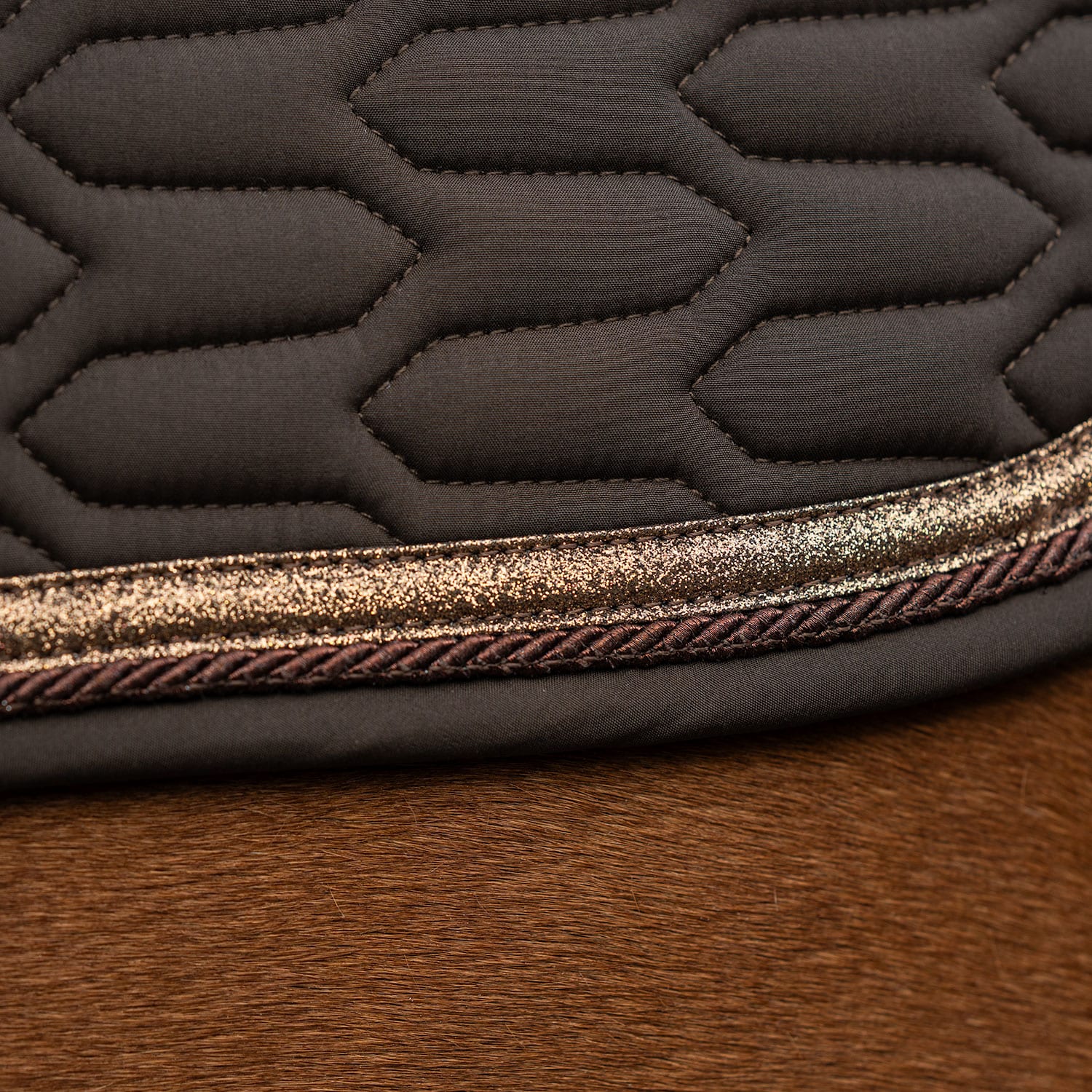 Allroundschabrak  Modesto Fairfield®