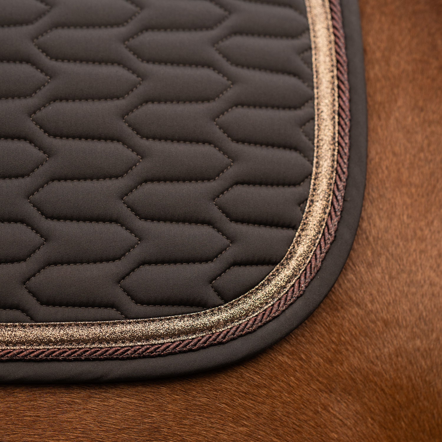 Allroundschabrak  Modesto Fairfield®