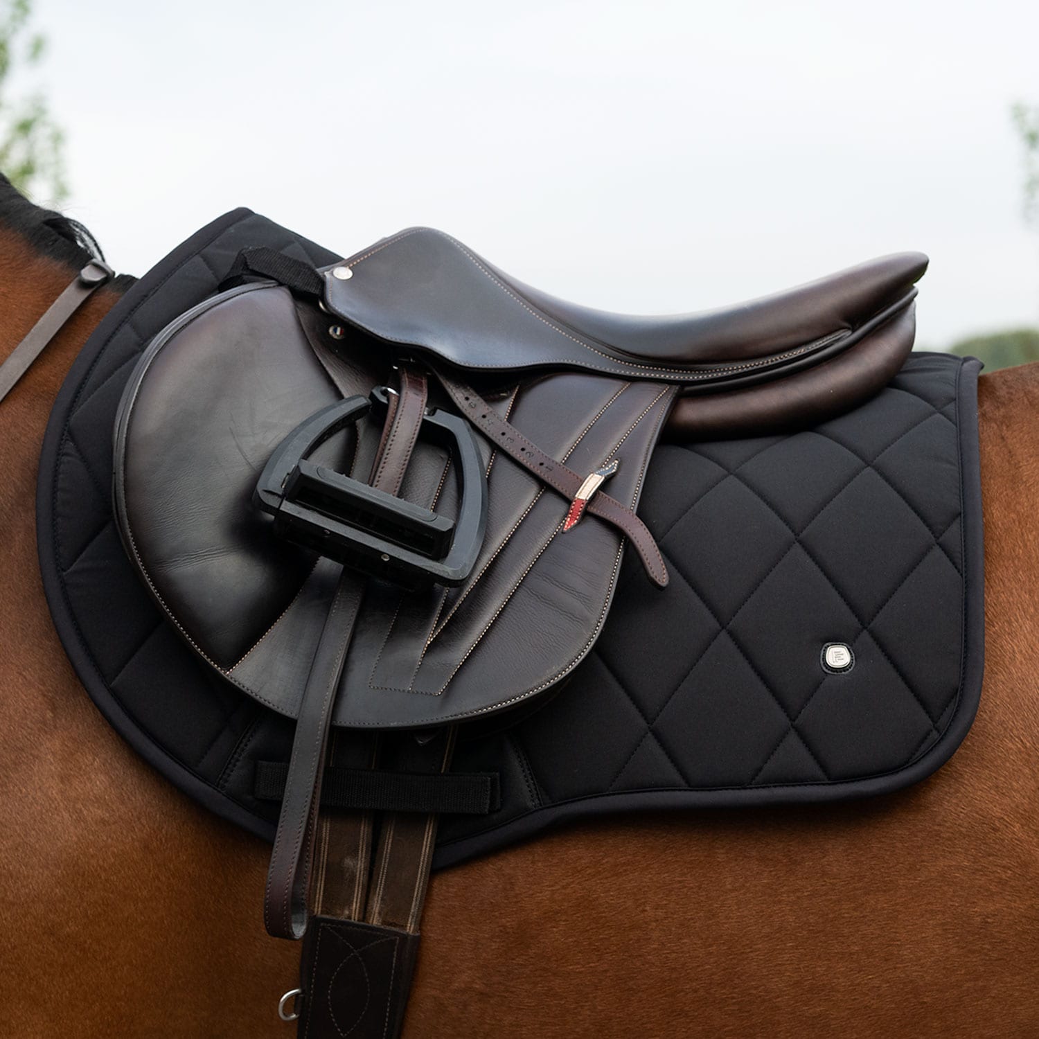 Allroundschabrak  Corridale Fairfield®