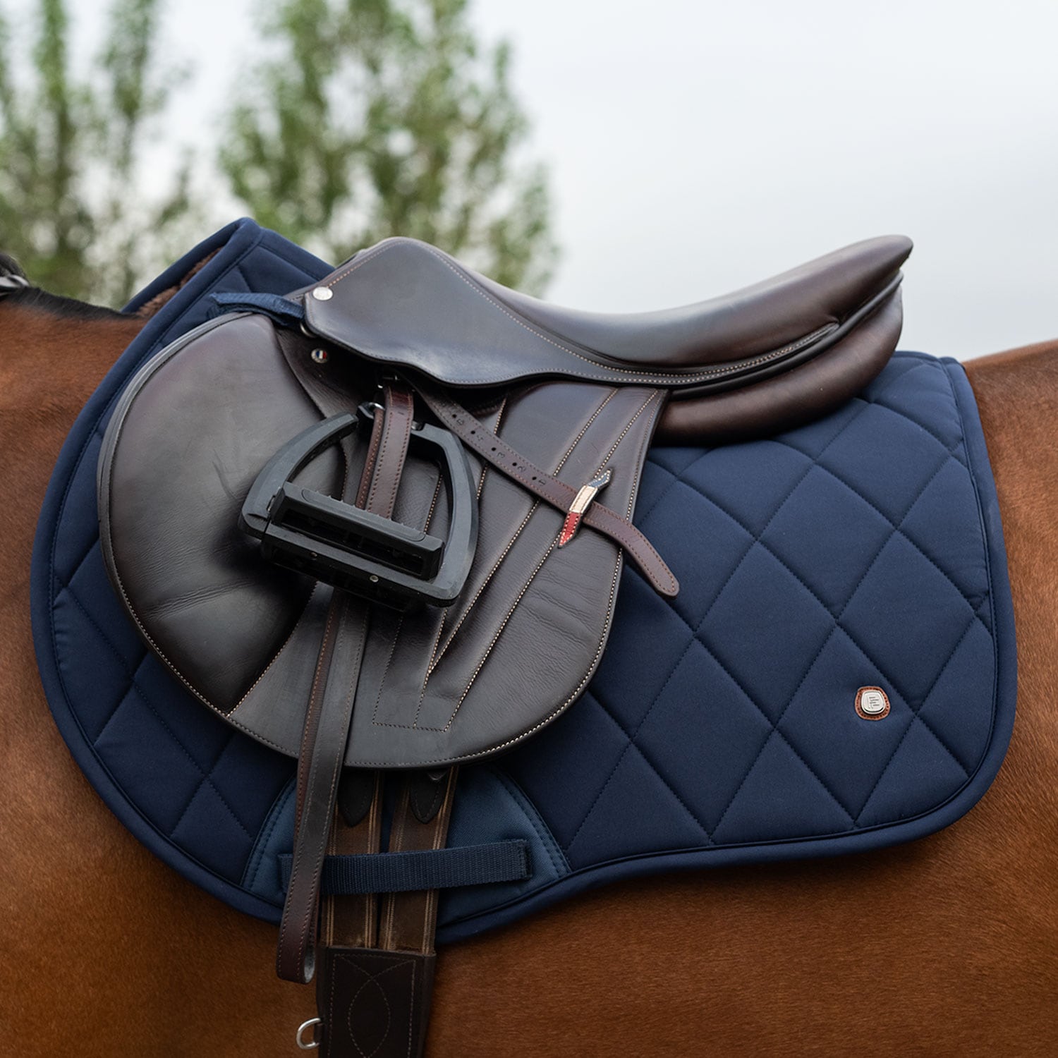 Allroundschabrak  Corridale Fairfield®