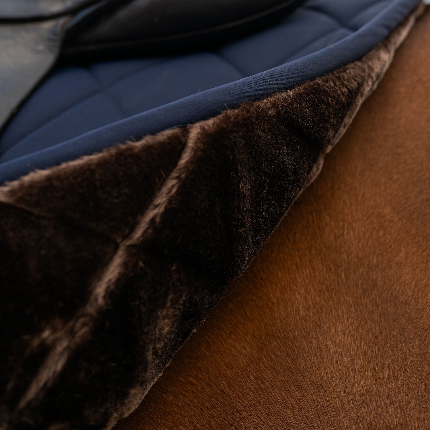 Dressyrschabrak  Corridale Fairfield®