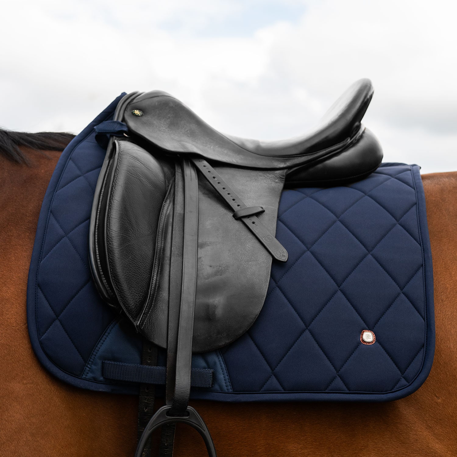 Dressyrschabrak  Corridale Fairfield®