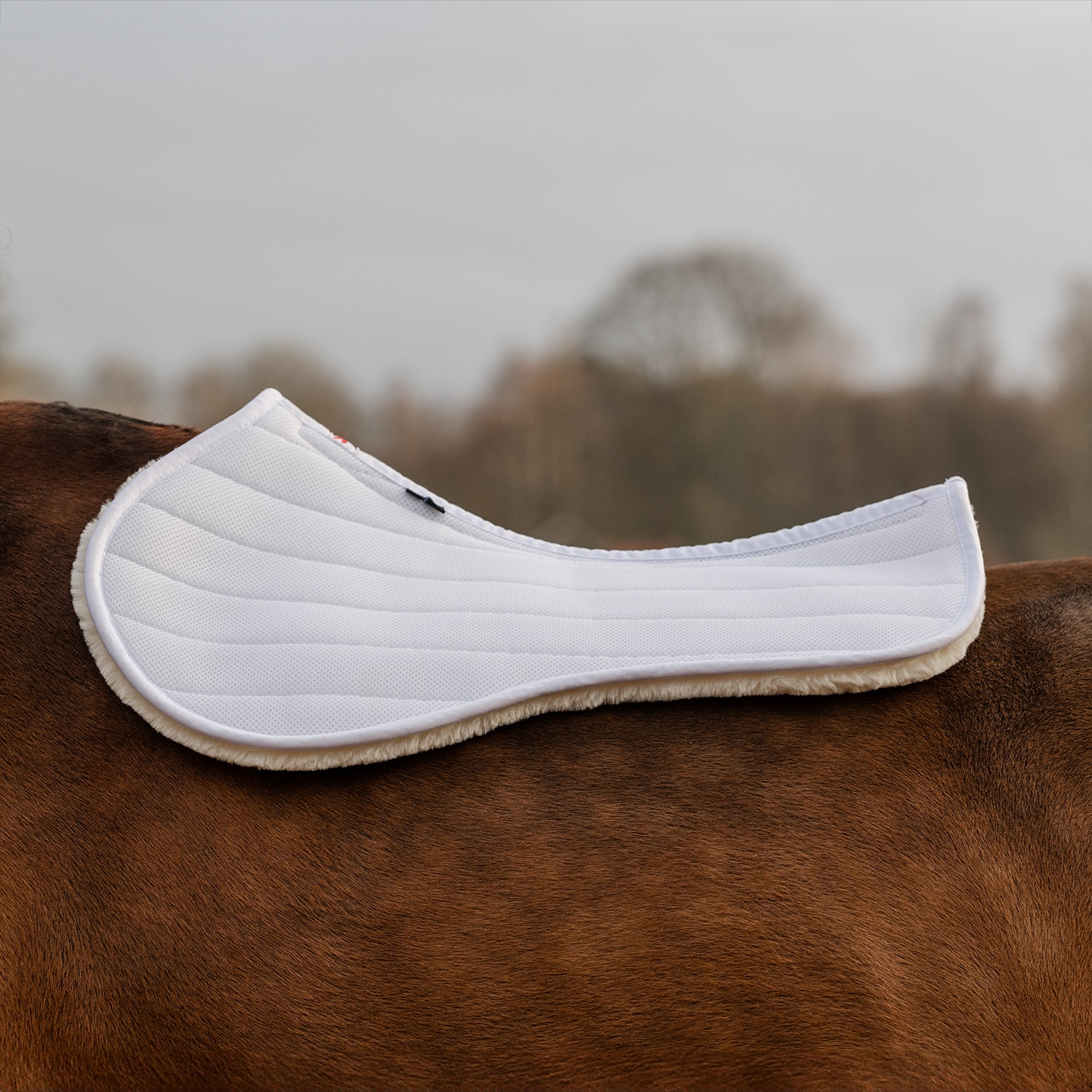 Pad 3D Air Shock EquiXpert®