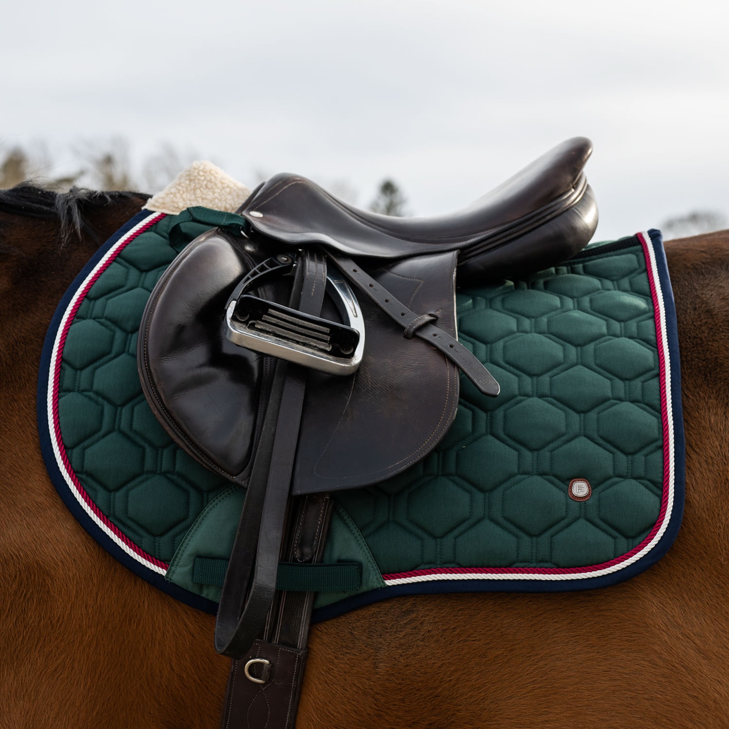 Allroundschabrak Ariel Fairfield®